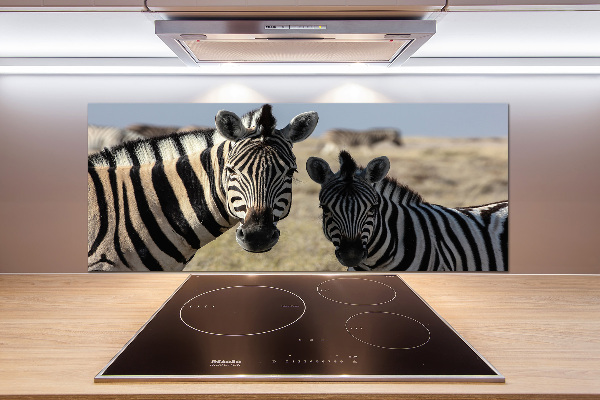 Cooker splashback Two zebras