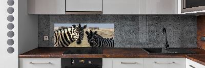 Cooker splashback Two zebras