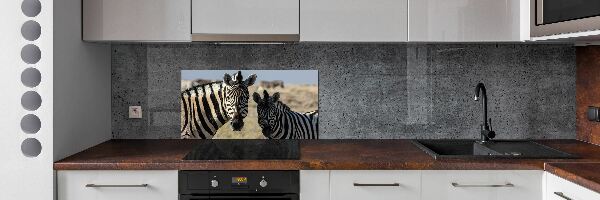 Cooker splashback Two zebras