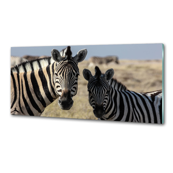 Cooker splashback Two zebras