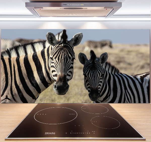 Cooker splashback Two zebras