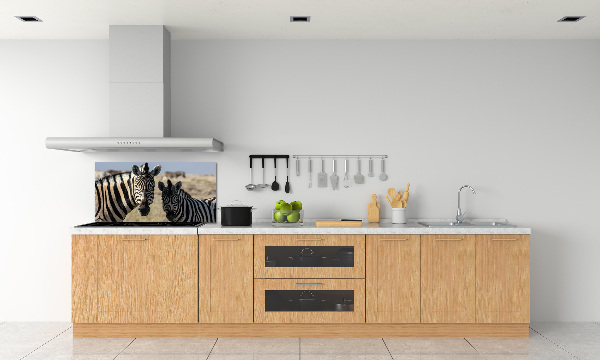 Cooker splashback Two zebras