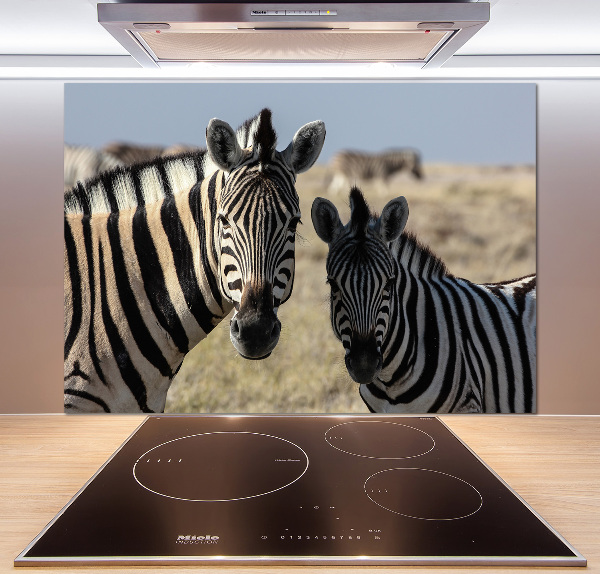 Cooker splashback Two zebras