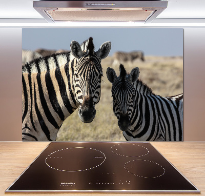 Cooker splashback Two zebras