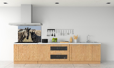 Cooker splashback Two zebras