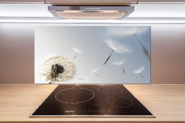 Cooker splashback Dandelion