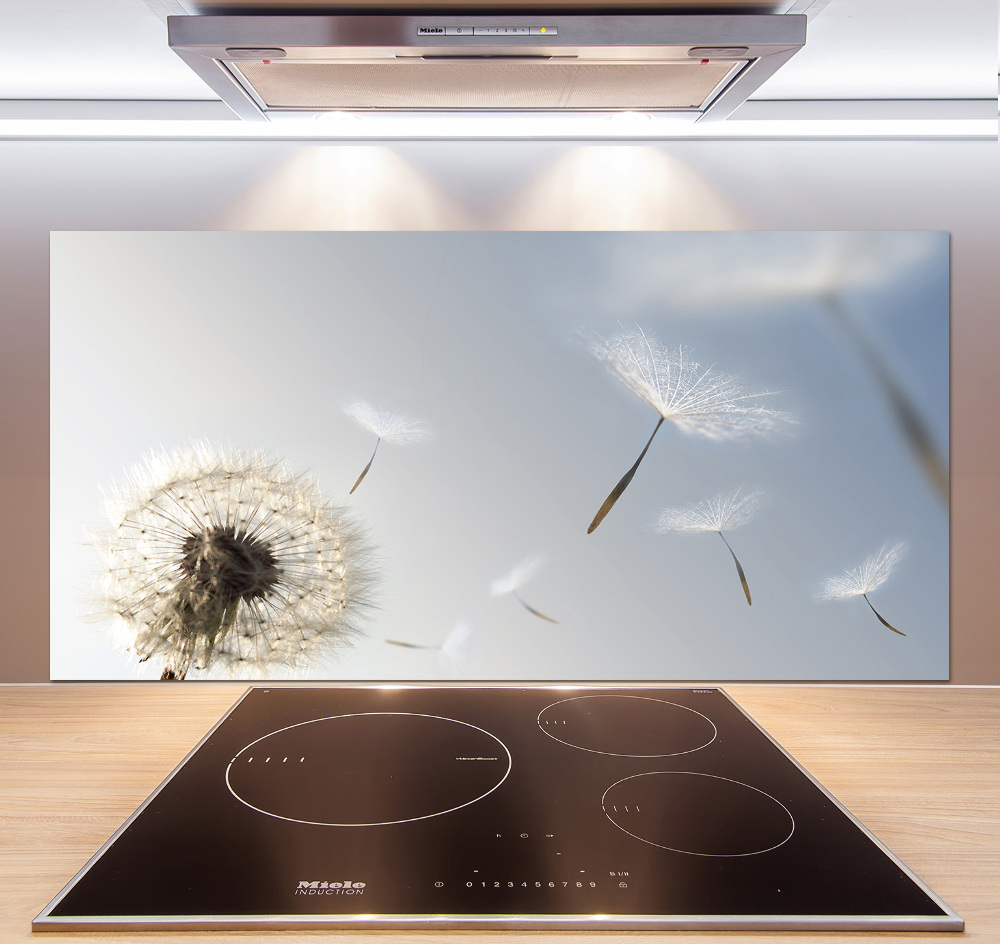 Cooker splashback Dandelion