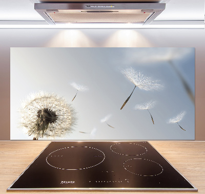 Cooker splashback Dandelion