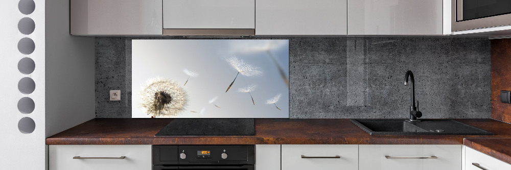 Cooker splashback Dandelion