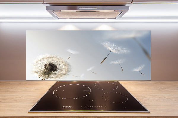 Cooker splashback Dandelion