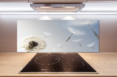 Cooker splashback Dandelion