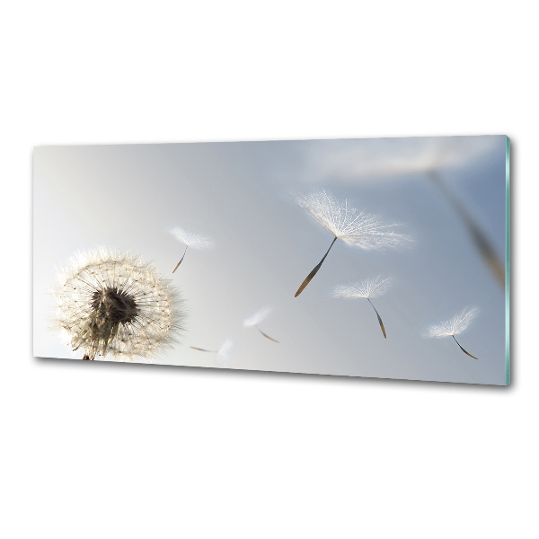 Cooker splashback Dandelion