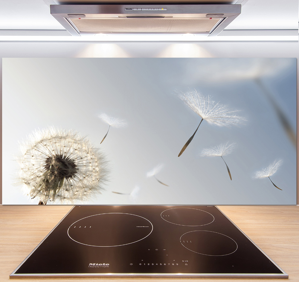 Cooker splashback Dandelion