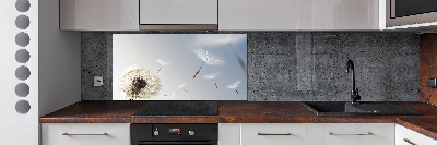 Cooker splashback Dandelion