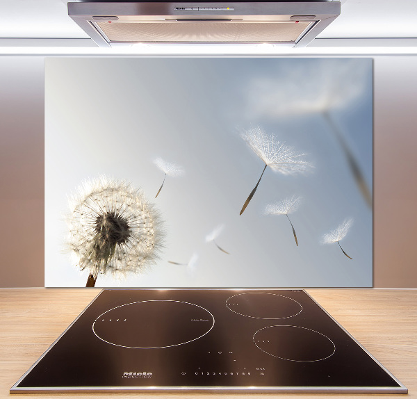 Cooker splashback Dandelion