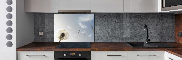 Cooker splashback Dandelion