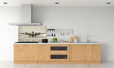 Glass splashback Old bomber