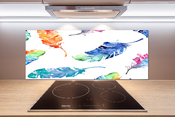 Kitchen splashback Colorful feathers