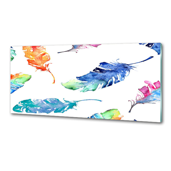 Kitchen splashback Colorful feathers