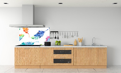 Kitchen splashback Colorful feathers