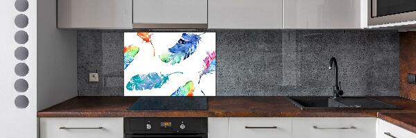 Kitchen splashback Colorful feathers