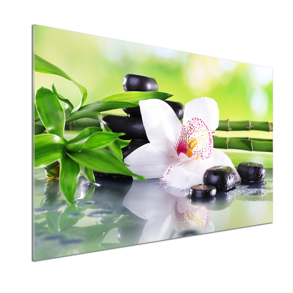 Cooker splashback Orchid