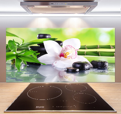 Cooker splashback Orchid