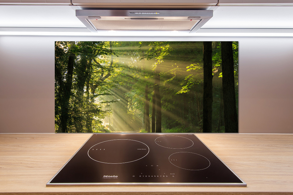 Cooker splashback Forest in the sun