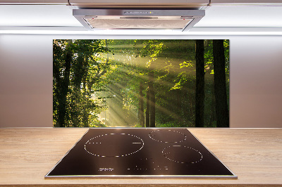 Cooker splashback Forest in the sun