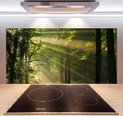 Cooker splashback Forest in the sun