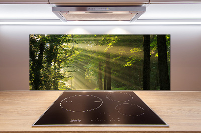 Cooker splashback Forest in the sun