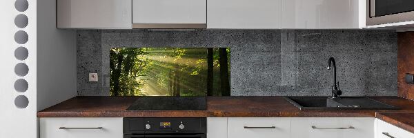 Cooker splashback Forest in the sun