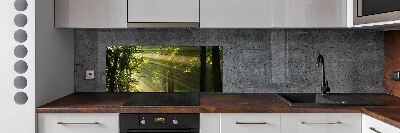 Cooker splashback Forest in the sun