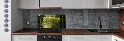 Cooker splashback Forest in the sun