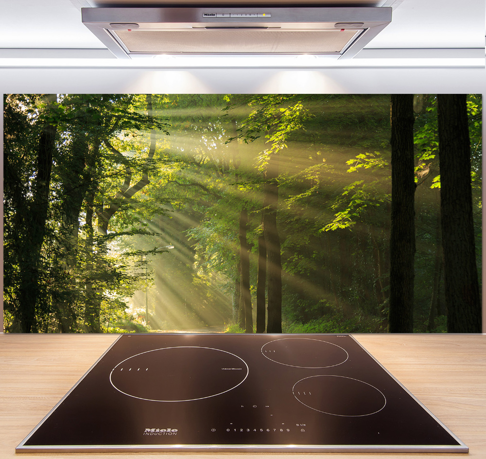 Cooker splashback Forest in the sun