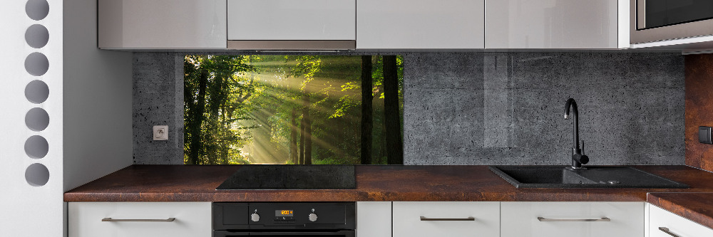 Cooker splashback Forest in the sun