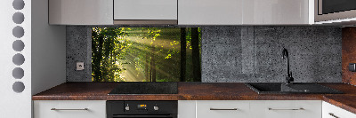 Cooker splashback Forest in the sun