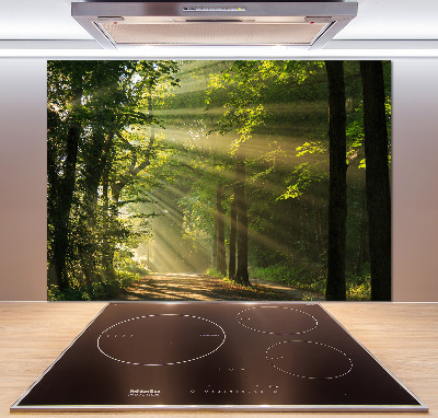 Cooker splashback Forest in the sun