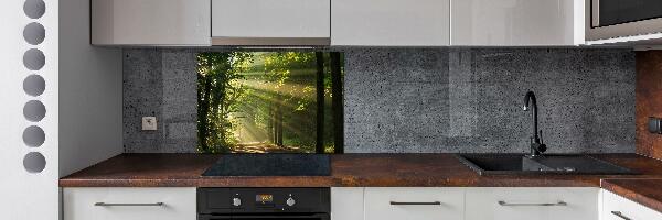 Cooker splashback Forest in the sun