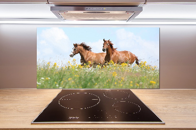 Cooker splashback Two horses at a gallop