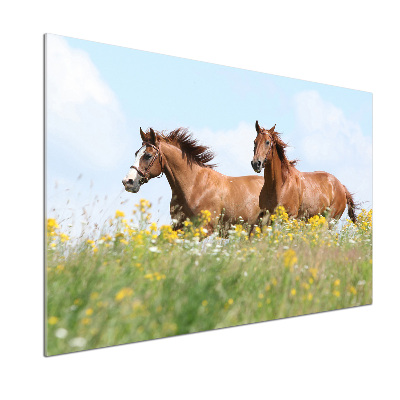 Cooker splashback Two horses at a gallop