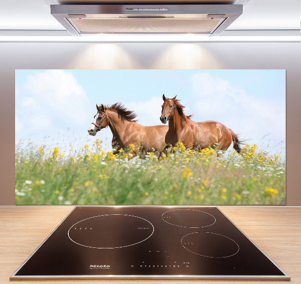 Cooker splashback Two horses at a gallop