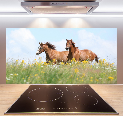 Cooker splashback Two horses at a gallop