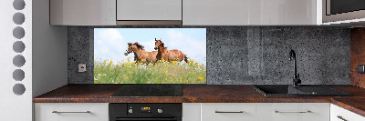 Cooker splashback Two horses at a gallop