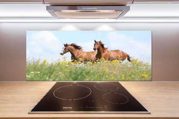 Cooker splashback Two horses at a gallop