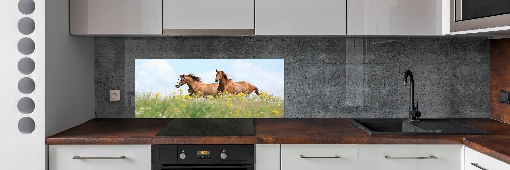 Cooker splashback Two horses at a gallop