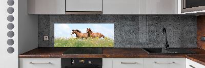 Cooker splashback Two horses at a gallop