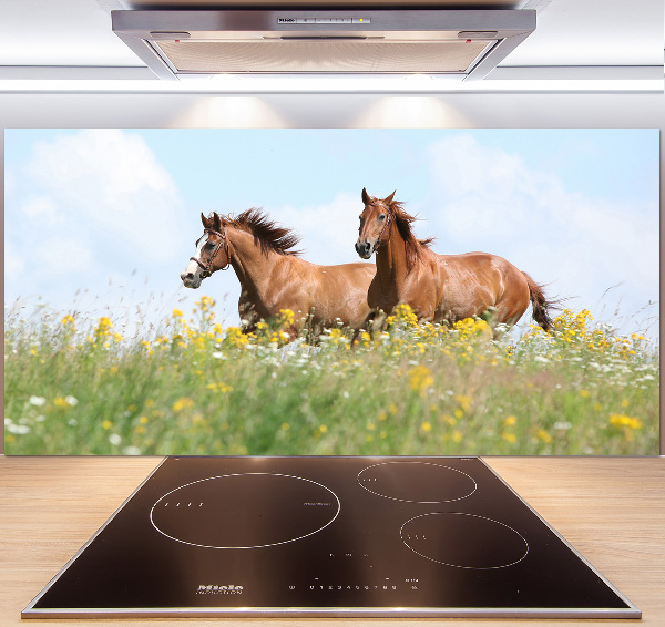 Cooker splashback Two horses at a gallop