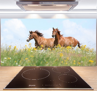 Cooker splashback Two horses at a gallop