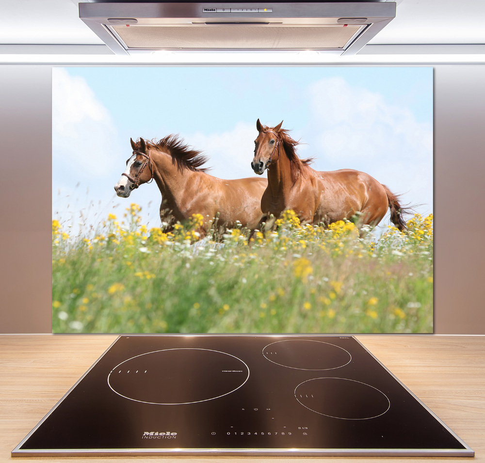 Cooker splashback Two horses at a gallop